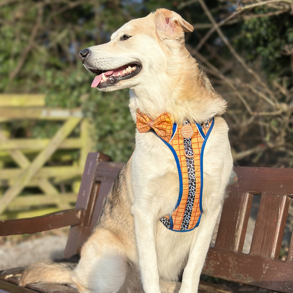 Disney© Bow Tie - Woody