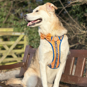 Disney© Bow Tie - Woody