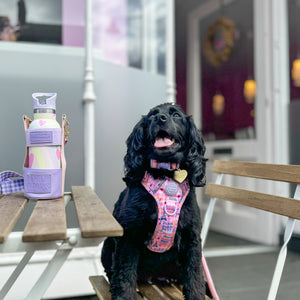 Waterproof Collar - Emily In Paris