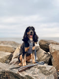 AdjustFit Lead - Horizon Houndstooth