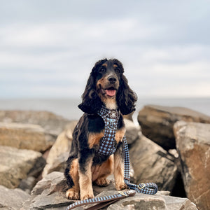 AdjustFit Lead - Horizon Houndstooth