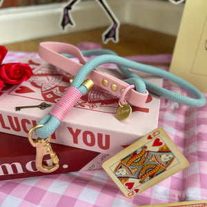 Disney© 4ft Rope Lead - Mad Hatters Tea Party