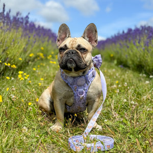 Disney© Lead - Bambi + Friends Lilac