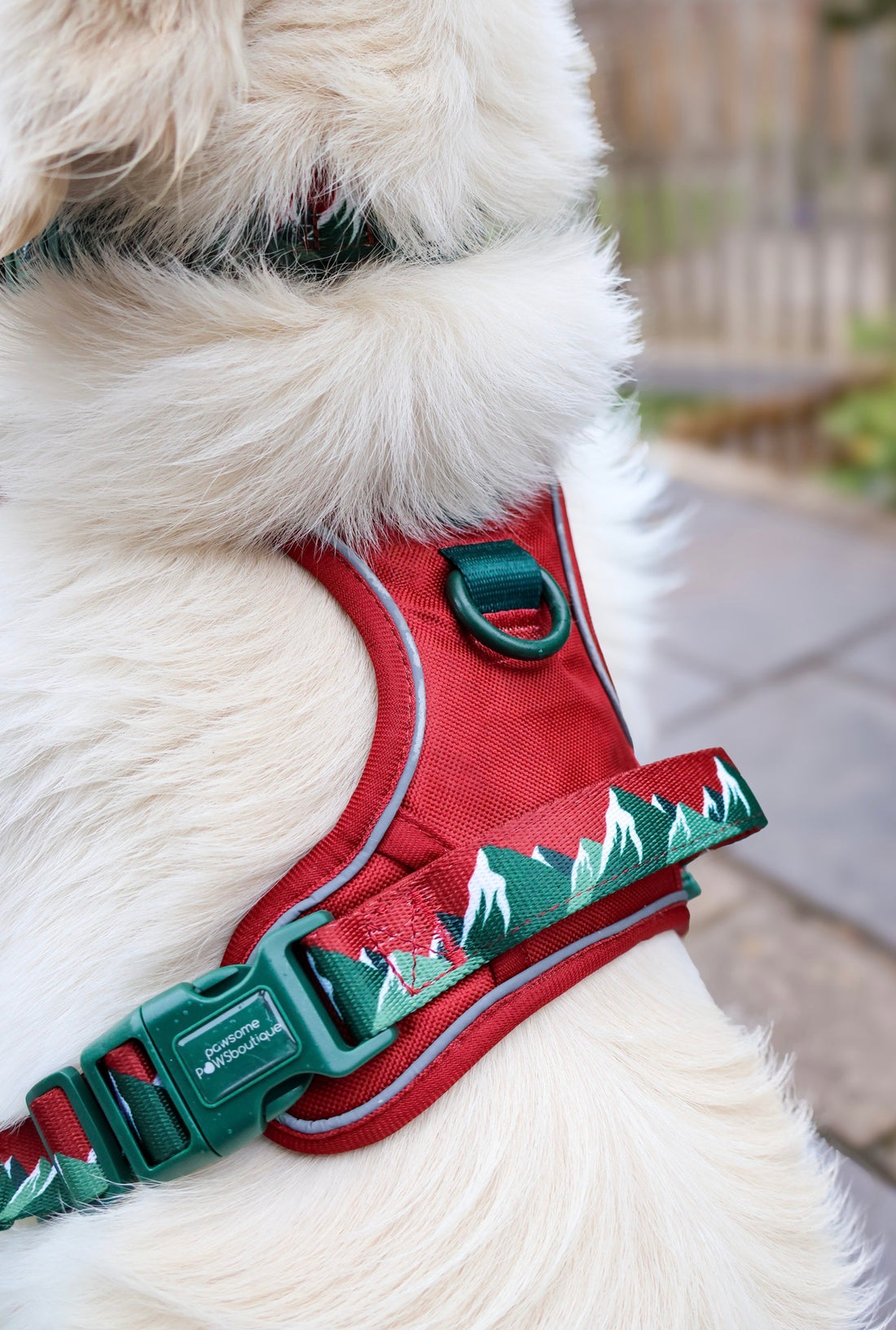 Walkies Ready® Snowy Mountains Ultimate Bundle
