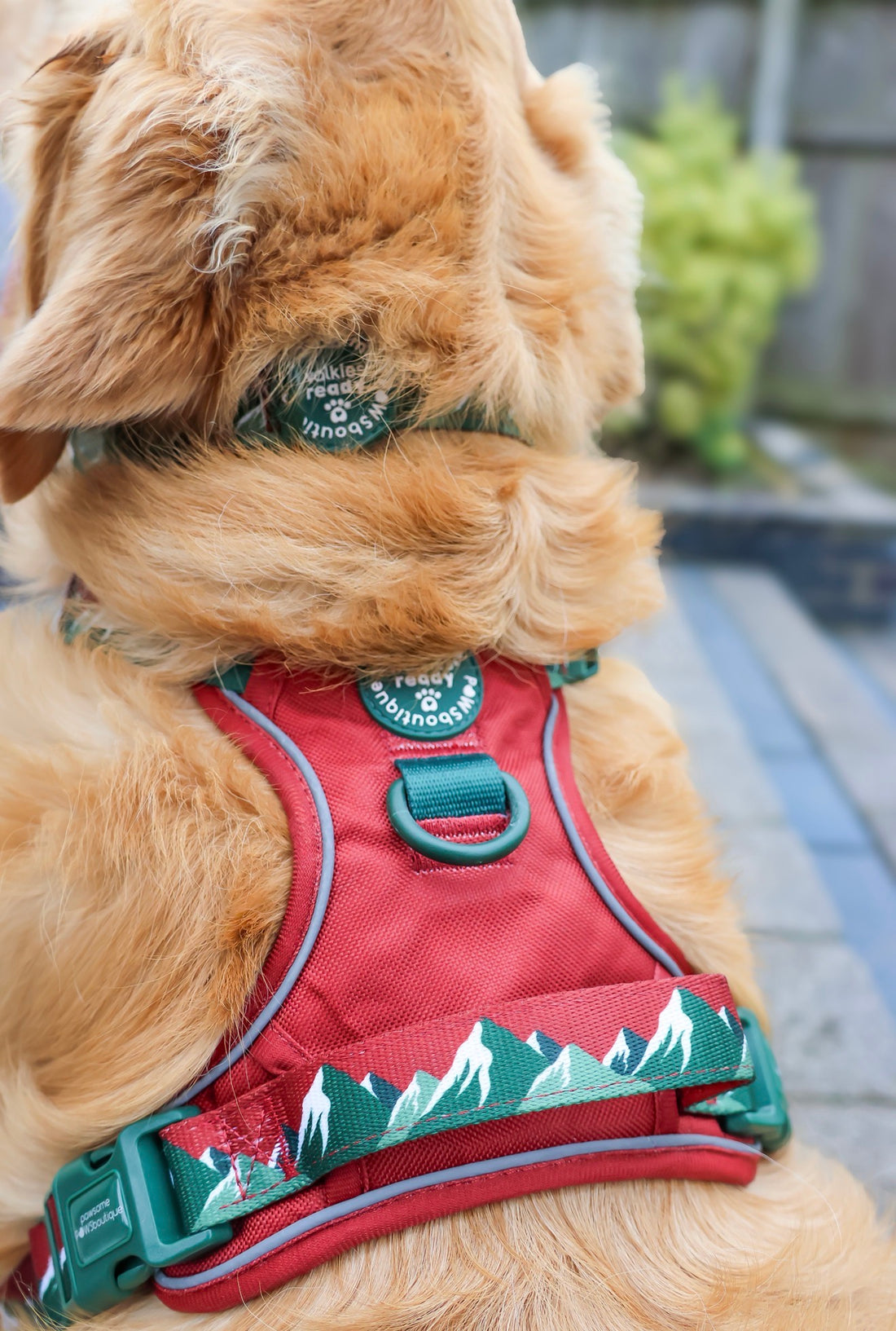 Tough Trails™ Harness - Walkies Ready® Snowy Mountains