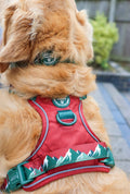 Tough Trails™ Harness - Walkies Ready® Snowy Mountains