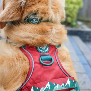 Tough Trails™ Harness - Walkies Ready® Snowy Mountains