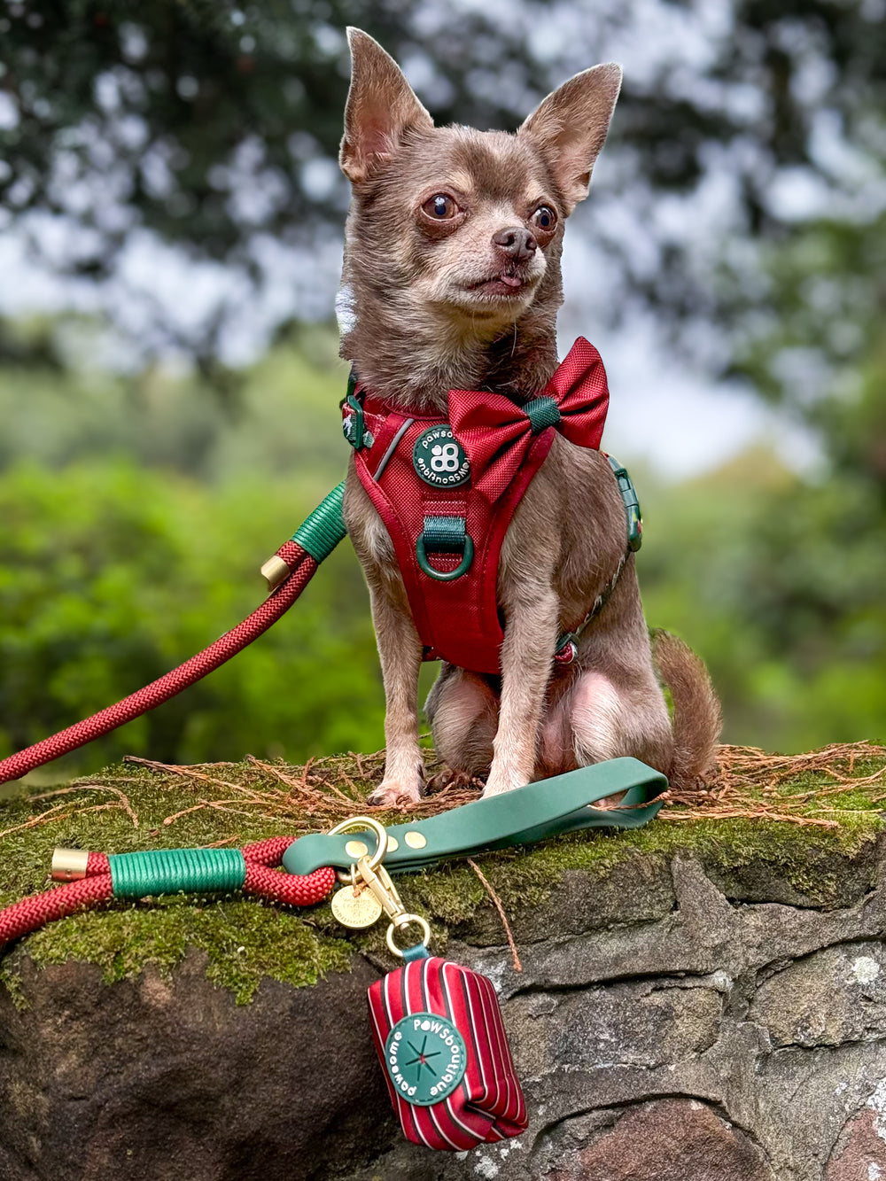 Poo Bag Holder - Walkies Ready® Snowy Mountains