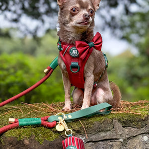 4ft Rope Lead - Red + Green