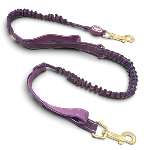 Handsfree Lead - Walkies Ready® Plum (New Clip)