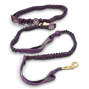 Handsfree Lead - Walkies Ready® Plum (New Clip)