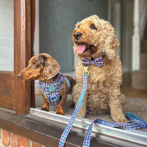 Bow Tie - Tweed Twilight