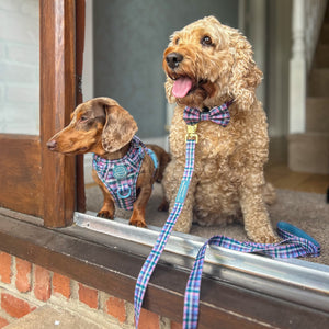 Lead - Tweed Twilight