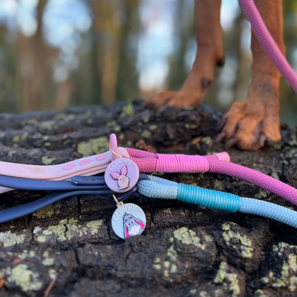 Disney© Collar/Lead Charm - Piglet