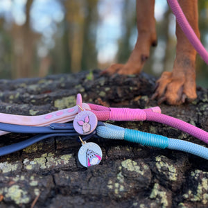 Disney© Collar/Lead Charm - Piglet