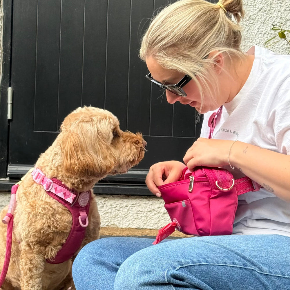 All In One Bumbag - Raspberry Pink
