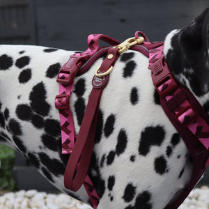 Traffic Handle - Walkies Ready® Mulberry