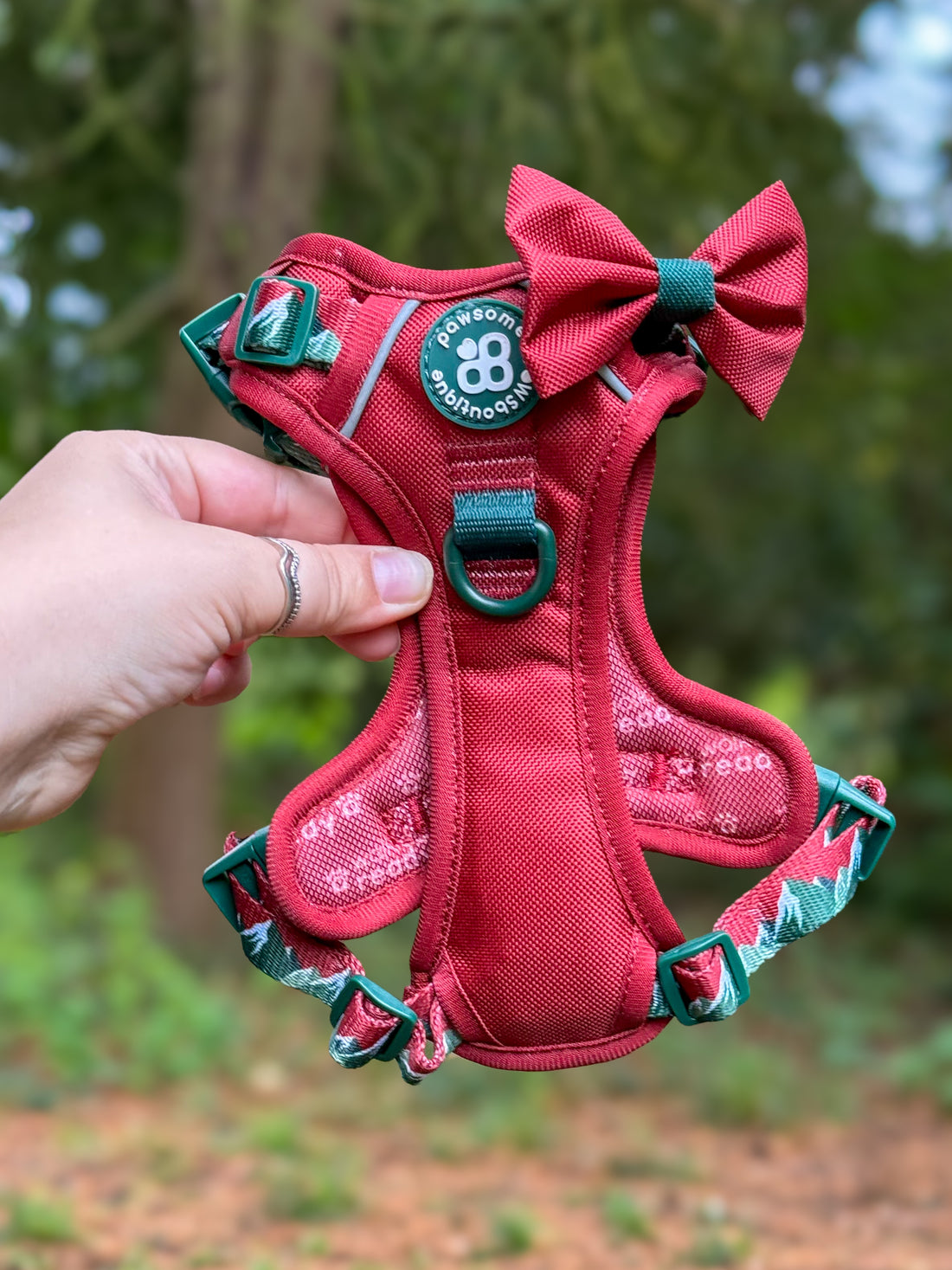 Bow Tie - Walkies Ready® - Snowy Mountains