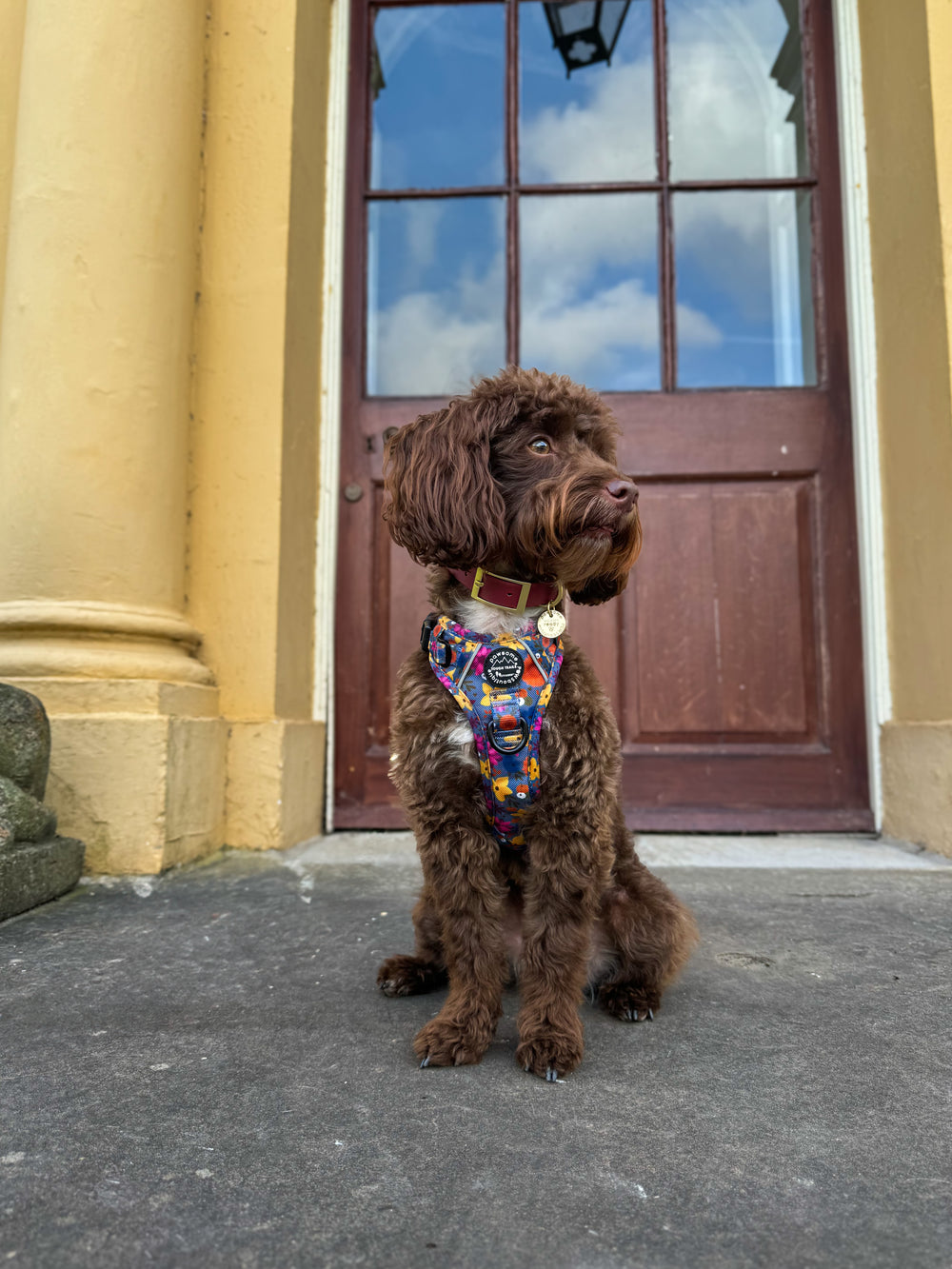 Waterproof Collar - Mulberry (Gold Hardware)