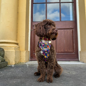 Waterproof Collar - Mulberry (Gold Hardware)
