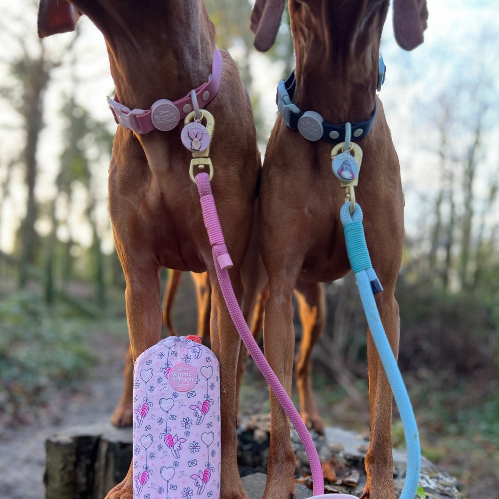 Disney© Collar/Lead Charm - Eeyore