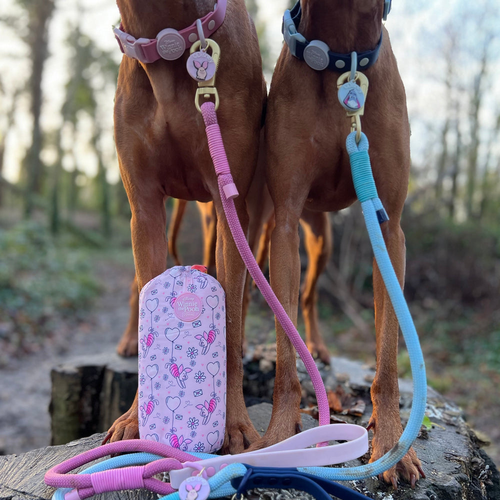 Disney© 4ft Rope Lead - Piglet - Pink