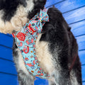 Disney© Bow Tie - Dumbo