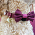 Bow Tie - Walkies Ready® - Mulberry