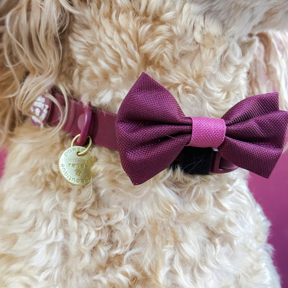 Bow Tie - Walkies Ready® - Mulberry