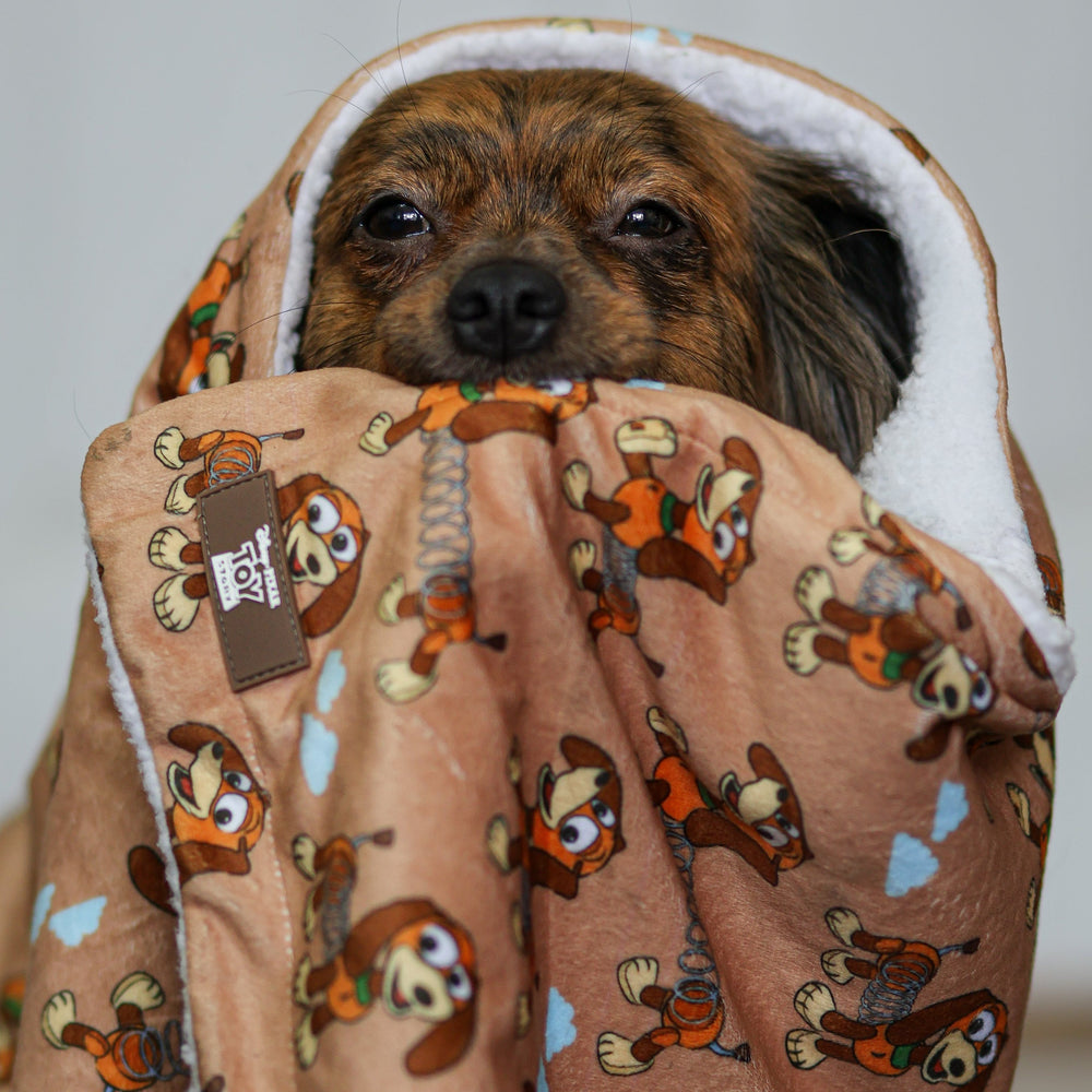 Disney© Dog Blanket - Slinky