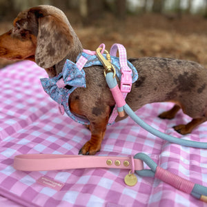 Disney© 4ft Rope Lead - Mad Hatters Tea Party