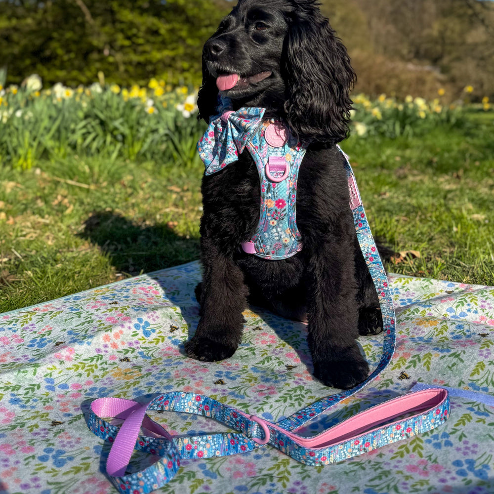 Lead - Whimsical Wildflowers