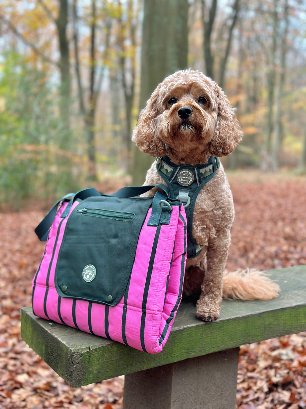 Travel Mat - Walkies Ready®