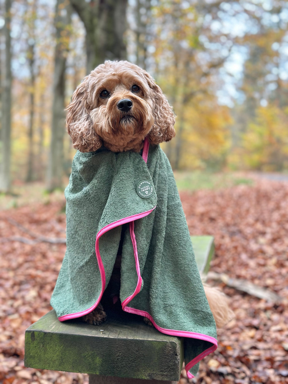 Microfibre Towel - Walkies Ready®