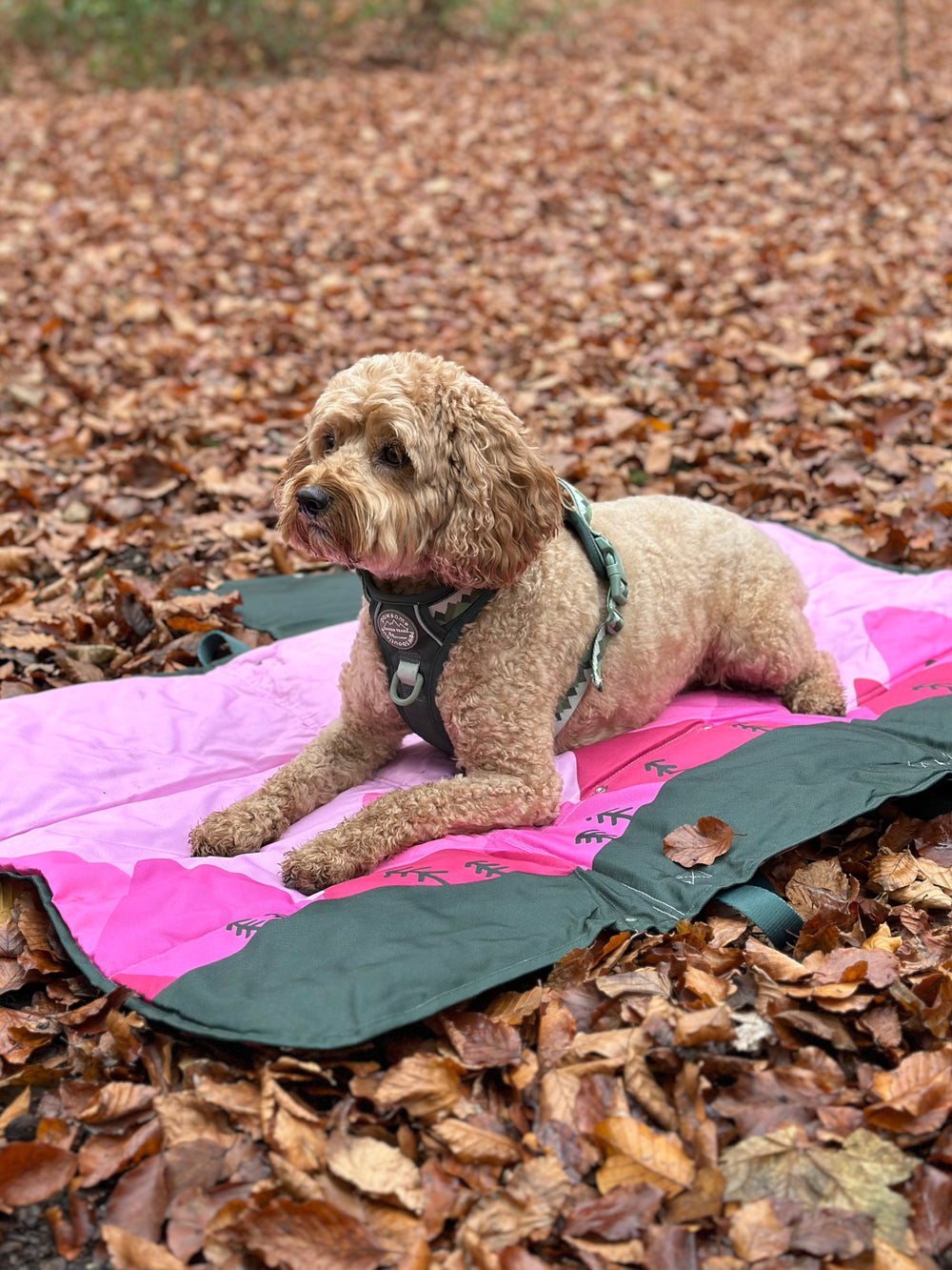 Travel Mat - Walkies Ready®
