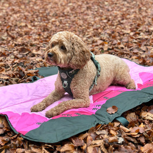 Travel Mat - Walkies Ready®