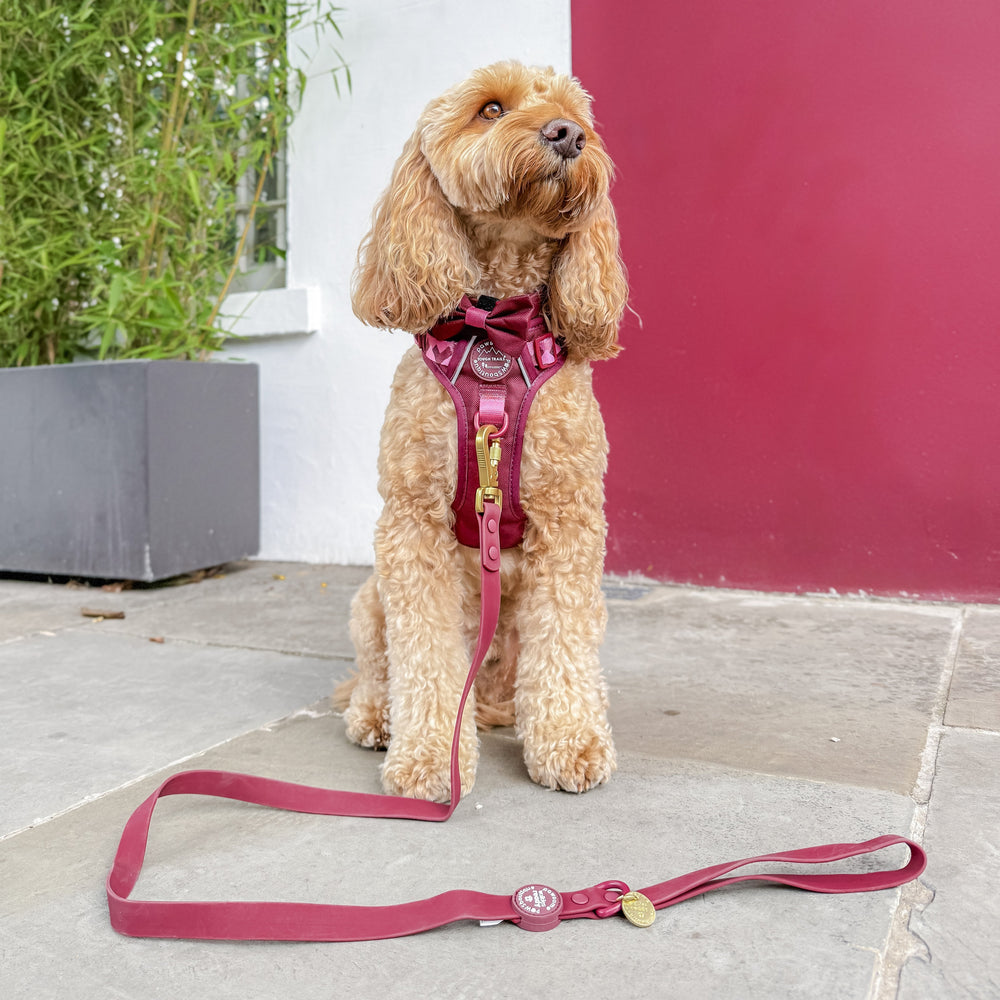 4ft Waterproof Lead - Walkies Ready® Mulberry