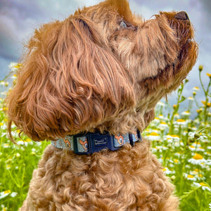 Disney© Collar - Bambi + Friends Blue