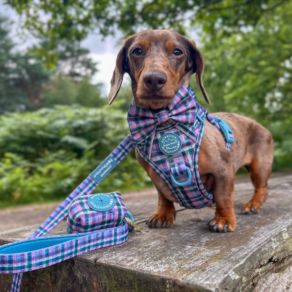 Poo Bag Holder - Tweed Twilight