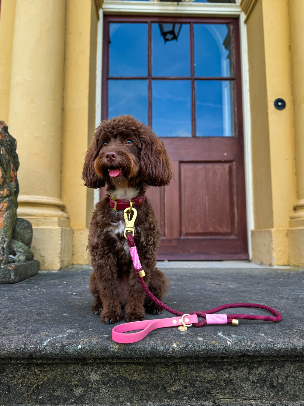 Waterproof Collar - Mulberry (Gold Hardware)