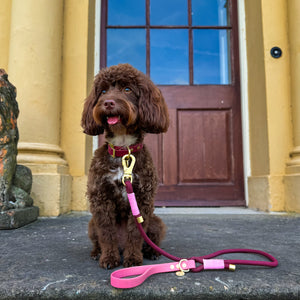 Waterproof Collar - Mulberry (Gold Hardware)