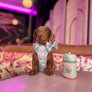 Disney© Treat Pouch - Mad Hatters Tea Party