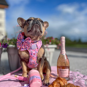 Sailor Bow Tie - Emily In Paris