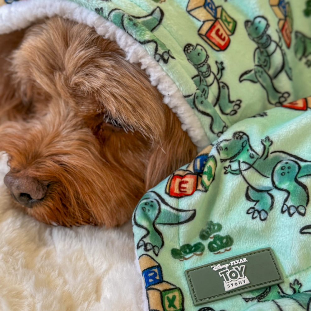 Disney© Dog Blanket - Rex