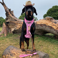 4ft Rope Lead - Brown + Pink