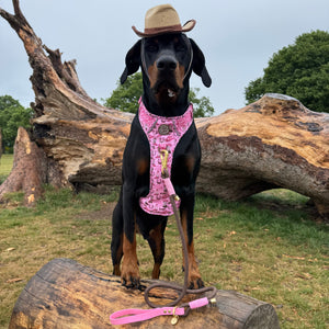 4ft Rope Lead - Brown + Pink