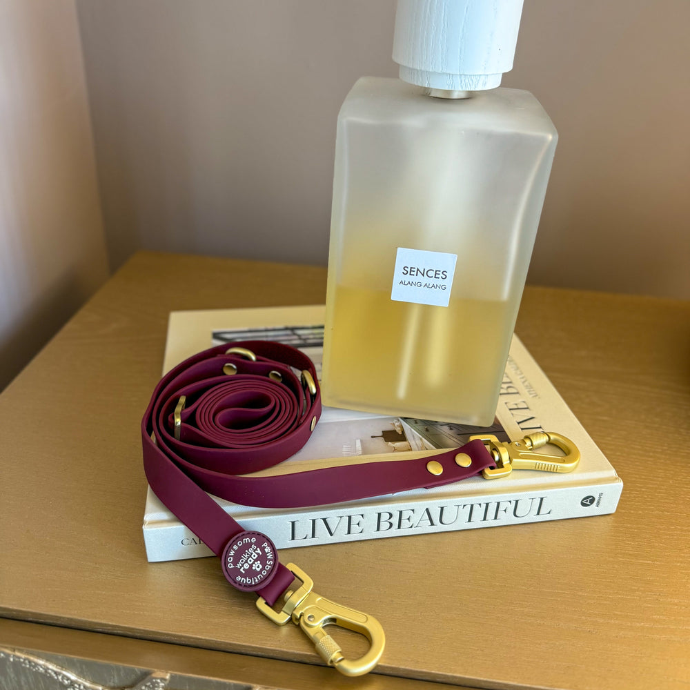 Double Ended Lead - Walkies Ready® Mulberry