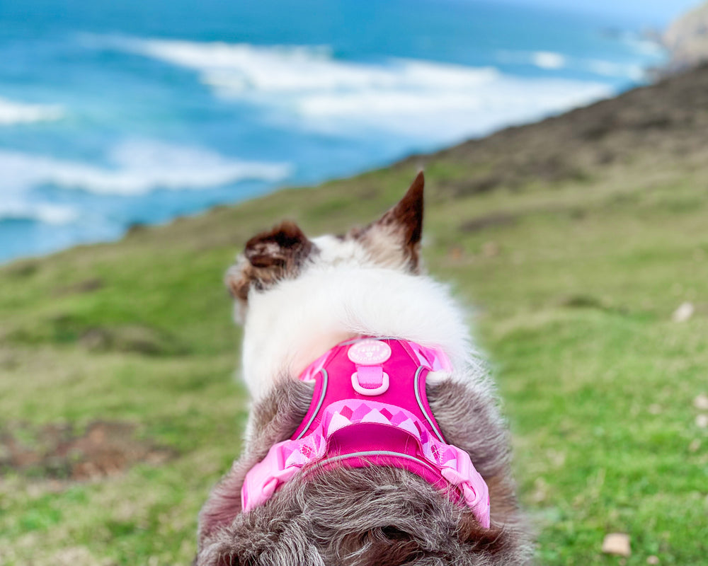 Tough Trails™ Harness - Walkies Ready® Raspberry Pink
