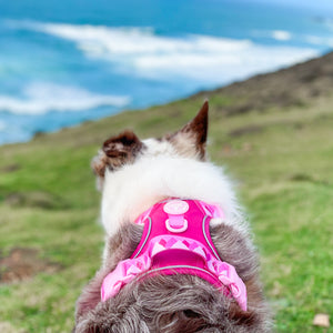 Tough Trails™ Harness - Walkies Ready® Raspberry Pink
