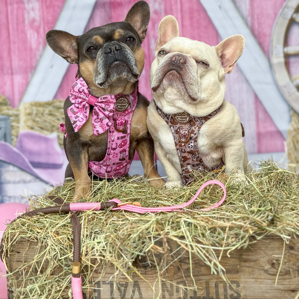 4ft Rope Lead - Brown + Pink